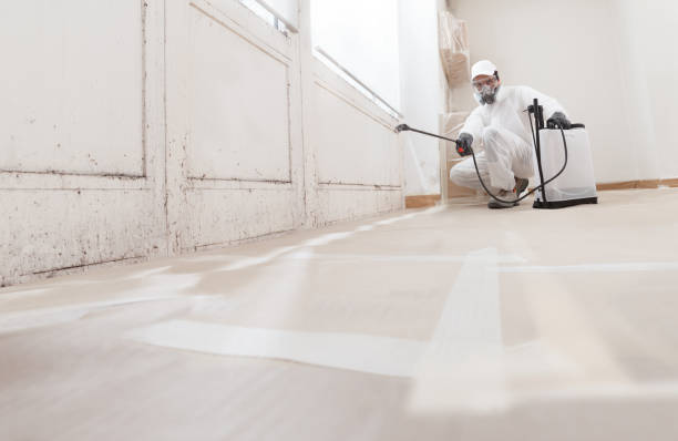24/7 Emergency Mold Removal experts in Blackwood, NJ